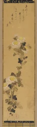 Chrysanten