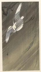 Reiger in een storm