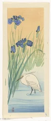 Reiger met irissen