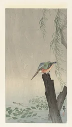 IJsvogel op boomstronk