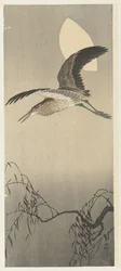Reiger en maan