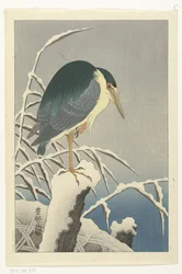 Reiger in sneeuw