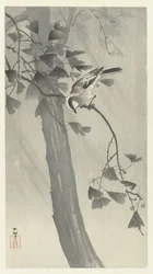 Staartmees in storm