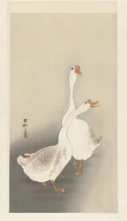 Twee Ganzen