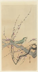 Zangvogel en pruimenbloesem