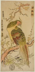 Gouden Fazant (Kinkeicho)