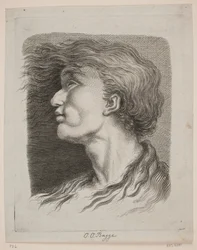 Mannenportret met wapperend haar