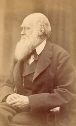 Portret van Charles Darwin op 72-jarige leeftijd, ca. 1871