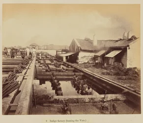 Indigofabriek (het laden van de vaten)
