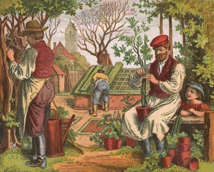 Tuinieren, 1871