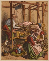 De wever (kleur litho)