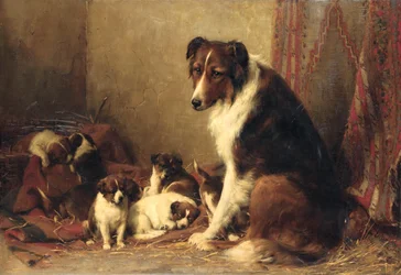 Een collie met haar puppy
