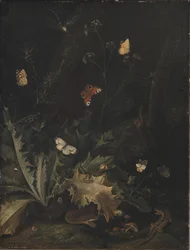 Een bosbodem met een distel, een slang, een hagedis en vlinders