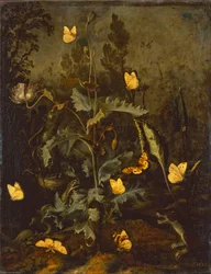 De slang bij het vogelnest / Papaver met vogelnest, slang, vlinders en een wezel