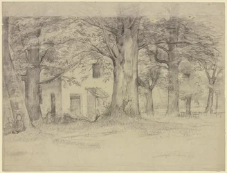 Huis achter bomen