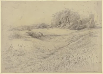 Boslandschap bij Kronberg