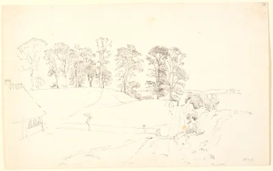 Landschap met bomen