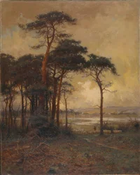 ‘Van heide tot moeras’, 1879-1934
