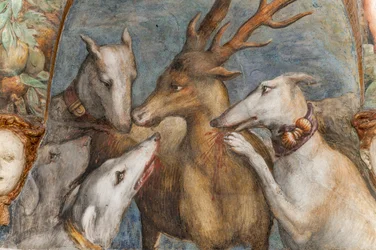 Actaeon, veranderd in een hert, wordt door zijn eigen honden opgegeten, uit de Kamer van Diana en Actaeon, de noordelijke muur, detail van 2384753