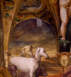Groep honden, uit Mythe van Diana en Actaeon