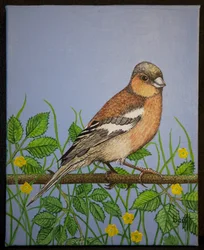 Vink, 2016