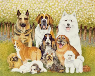 Honden in mei