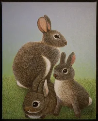 Familie Konijn, 2016