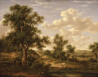 Heide bij Godstone