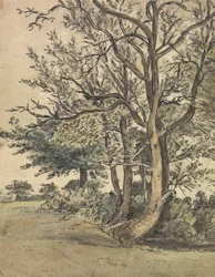 Deel van Regent