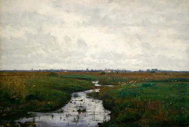 Een beek op het veen bij Dachau