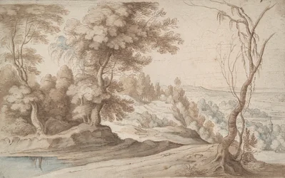 Landschap met bomen en uitzicht op een vallei
