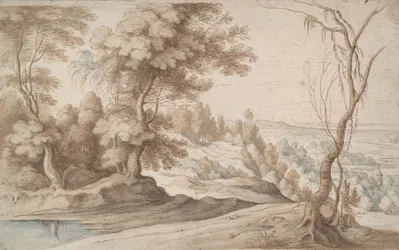 Landschap met bomen en uitzicht op een dal