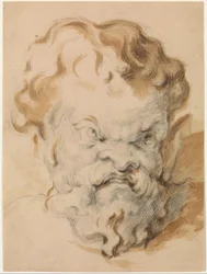 Hoofd van Silenus