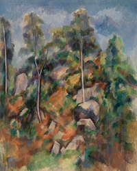 Rotsen en bomen