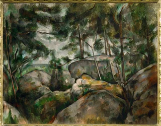 Rotsen in het bos (schilderij op canvas)