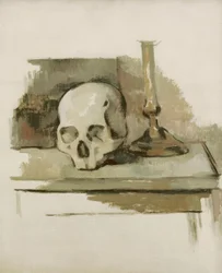 Schedel