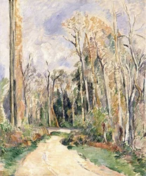 Pad bij de ingang van het bos