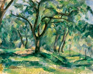 Het bos