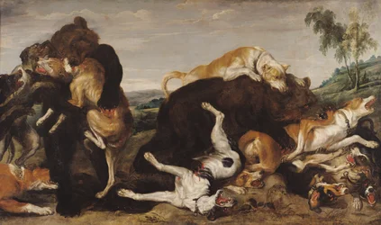 Berenjacht of gevecht tussen honden en beren