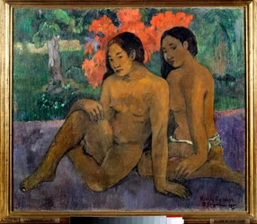 En het goud van hun lichamen Twee Tahitianen poseren naakt