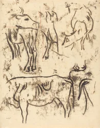 Dierstudies