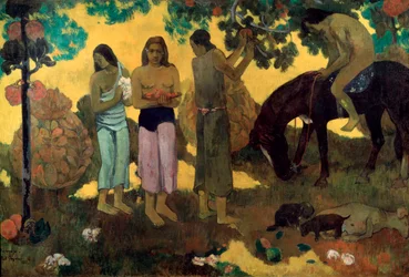 Rupe Rupe fruitoogst, 1899