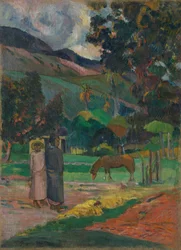 Tahitiaans landschap