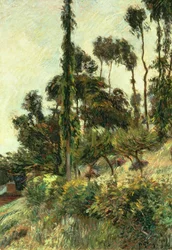 De Kant van de Heuvel, 1884