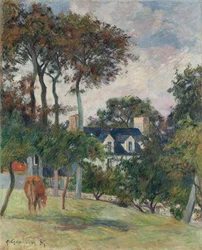 Het witte huis