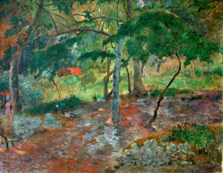 Tropisch landschap op Martinique