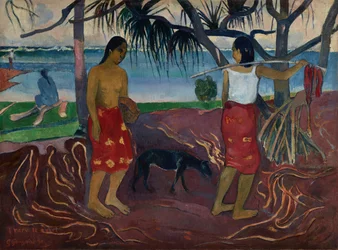Onder de Pandanus