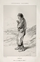 Vervoerder