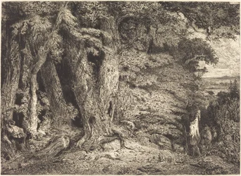 Ingang van het Bos