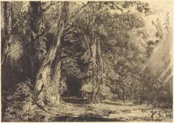 Overstroming in het bos van Île Séguin